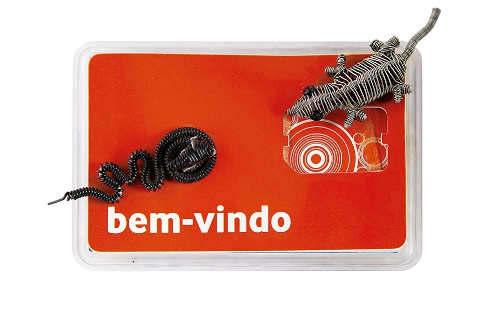 Bem-vindo