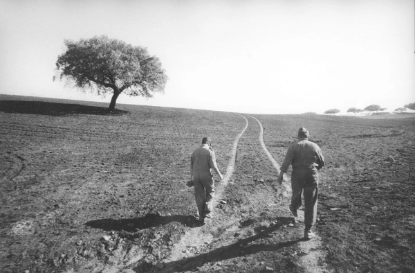 Fogo, Estrada de Reguengos de Monsaraz