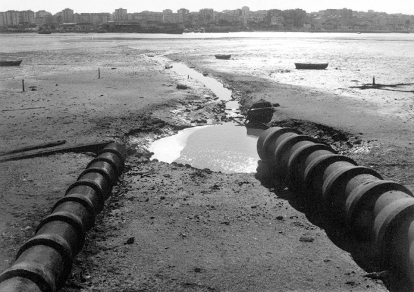 Arrentela (da série Tajo/Tejo)